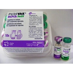 PUREVAX RCPCh FeLV 10 D