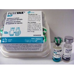 PUREVAX RCP 10DOSIS
