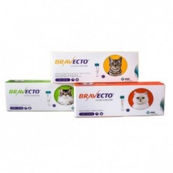 BRAVECTO GATO S 112,5  MG (1.2 -2.8 Kg)