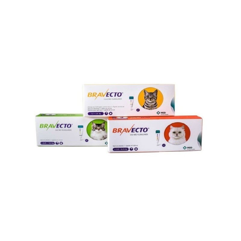 BRAVECTO GATO L   500    MG (6.25 -12.5 Kg)