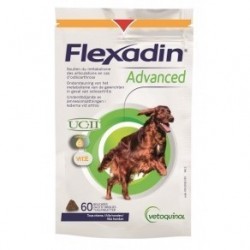 FLEXADIN ADVANCED UCII 60 Comp