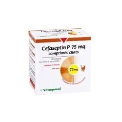 CEFASEPTIN   75 MG 100 COMP