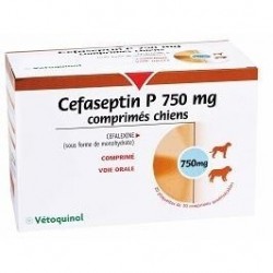CEFASEPTIN  750 MG   72 COMP