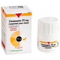 CLINDASEPTIN  75 MG 100 CÁPSULAS