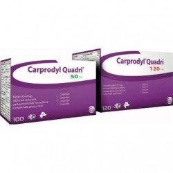 CARPRODYL QUADRI 120MG  120COMP