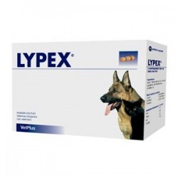 LYPEX 60 CÁPSULAS