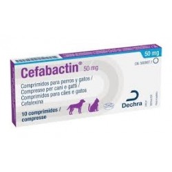 CEFABACTIN 50MG 10COMP