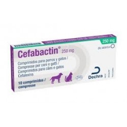 CEFABACTIN 250MG 10COMP