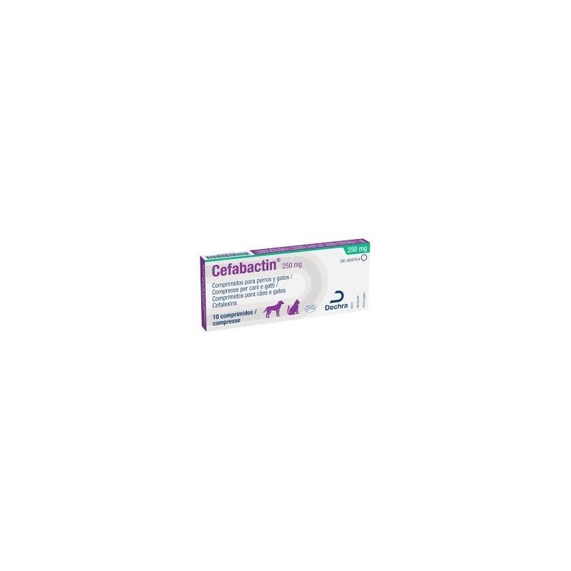 CEFABACTIN 250MG 10COMP