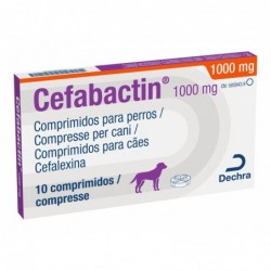 CEFABACTIN 1000MG 10COMP