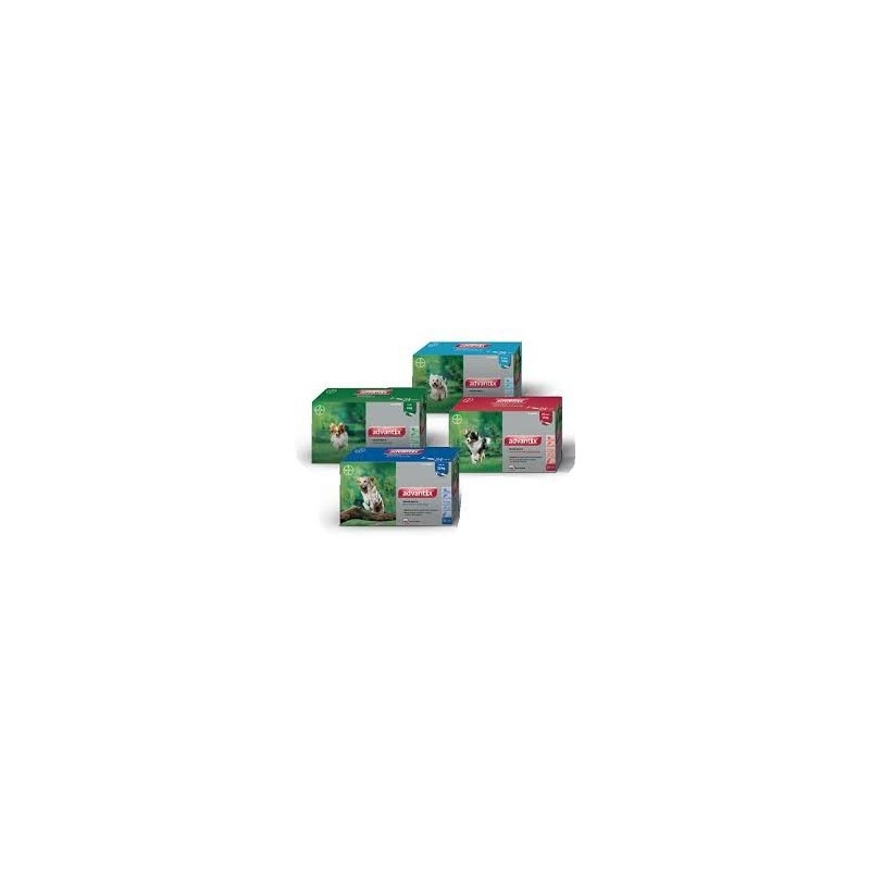 ADVANTIX 24X0.4 ML  (-4 KG)  24 PIP