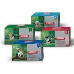 ADVANTIX 24X2.5 ML (10-25 KG)  24 PIP