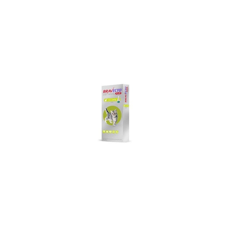 BRAVECTO PLUS CAT 112.5 (1.2-2.8KG)