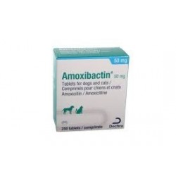 AMOXIBACTIN 50