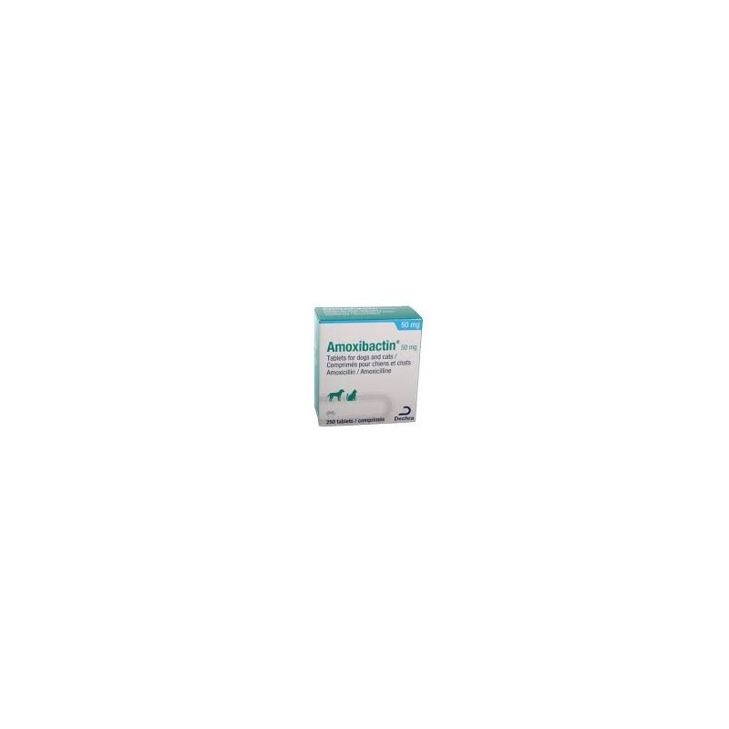 AMOXIBACTIN 50