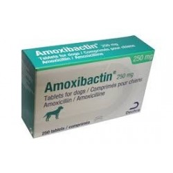 AMOXIBACTIN 250