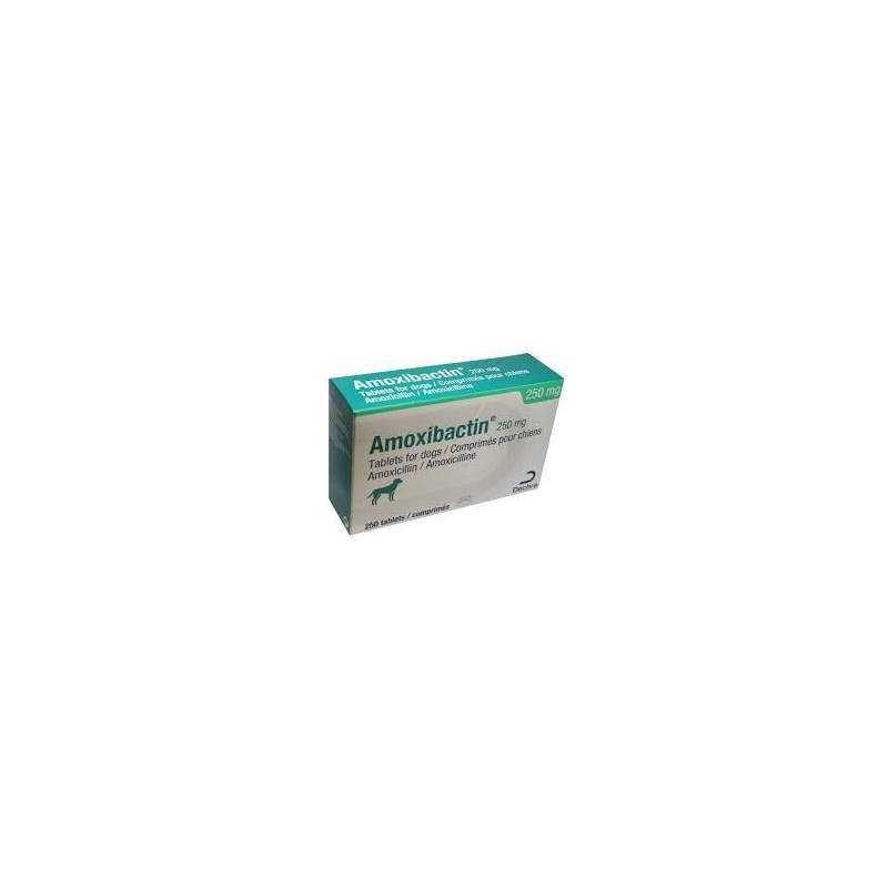 AMOXIBACTIN 250