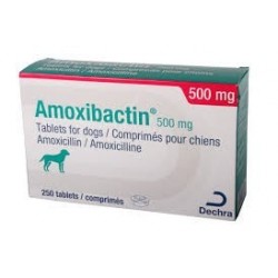 AMOXIBACTIN 500