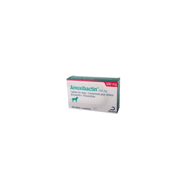 AMOXIBACTIN 500