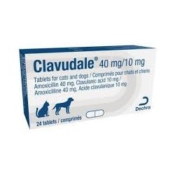 CLAVUDALE 40/10MG 20COMP