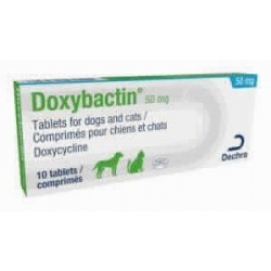 DOXYBACTIN 50MG