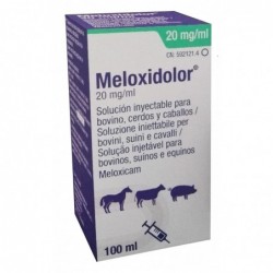 MELOXIDOLOR 20MG 100ML