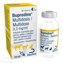BUPREDINE 10ML