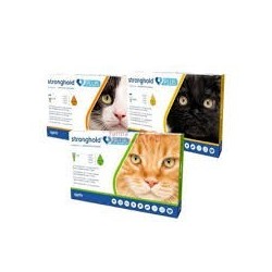 STRONGHOLD GATO PLUS 60/10MG 5-10KG 3P.