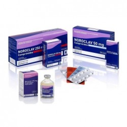 NOROCLAV 250 MG 50 COMP
