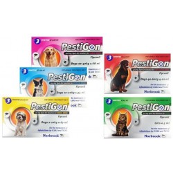 PESTIGON PERROS 20-40KG 24P