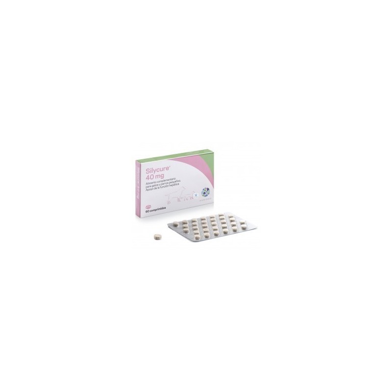 SILYCURE 40MG 60COMP