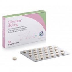 SILYCURE 160MG 30COMP