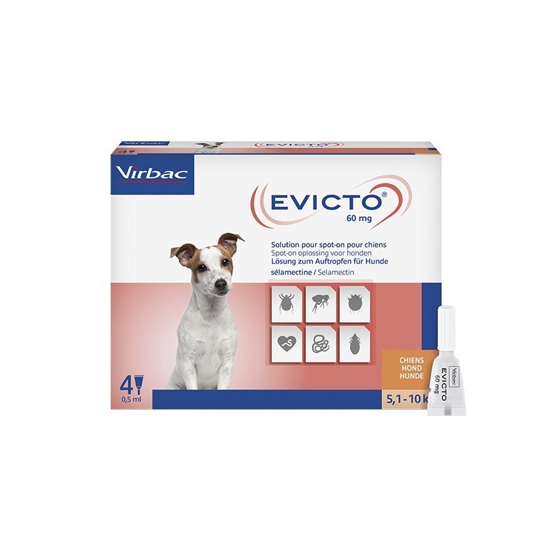 EVICTO 60MG PERROS (5.1-10 kg)