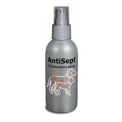 ANTISEPT 100ML