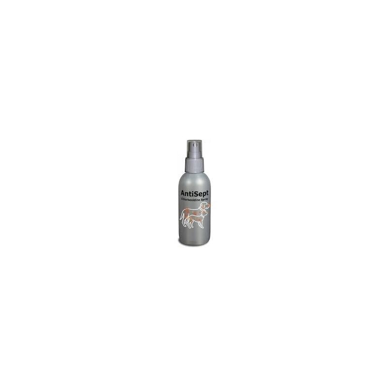 ANTISEPT 100ML