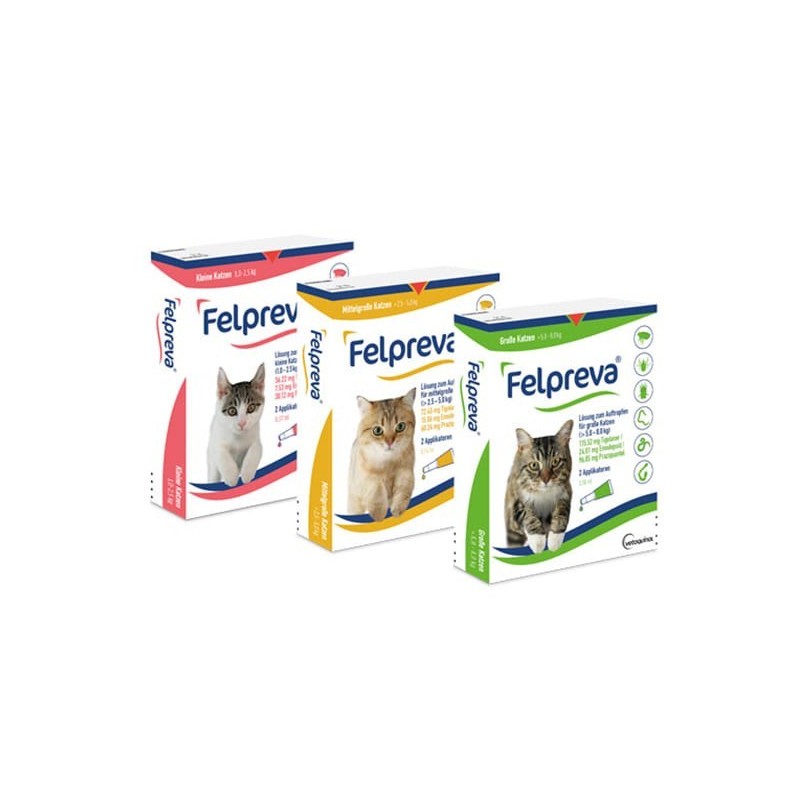 FELPREVA GATO 1-2.5KG 10P