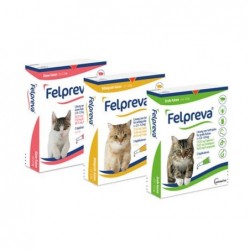 FELPREVA GATO +2.5-5KG 10P