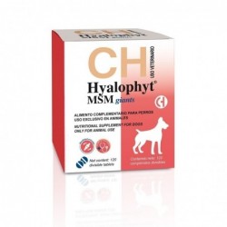 HYALOPHYT MSM GIANTS 30COMP