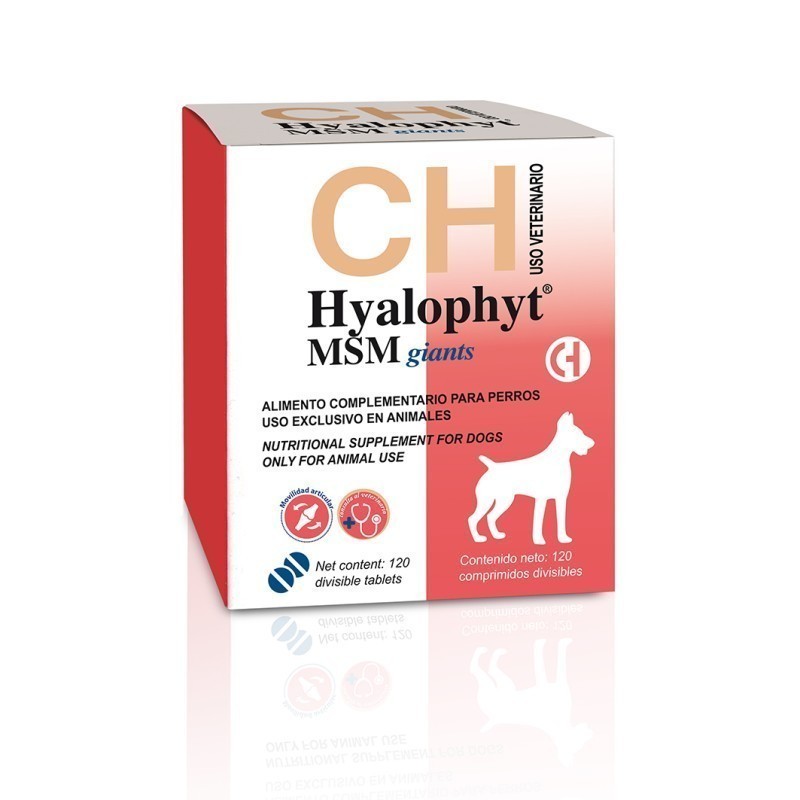 HYALOPHYT MSM GIANTS 120COMP