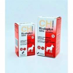 HYALOPHYT MSM RAZAS MEDIANAS 120COMP