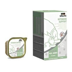 INTENSIVE SUPPORT F/C 7X95GR