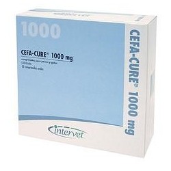 CEFA-CURE 1000 CLINICO