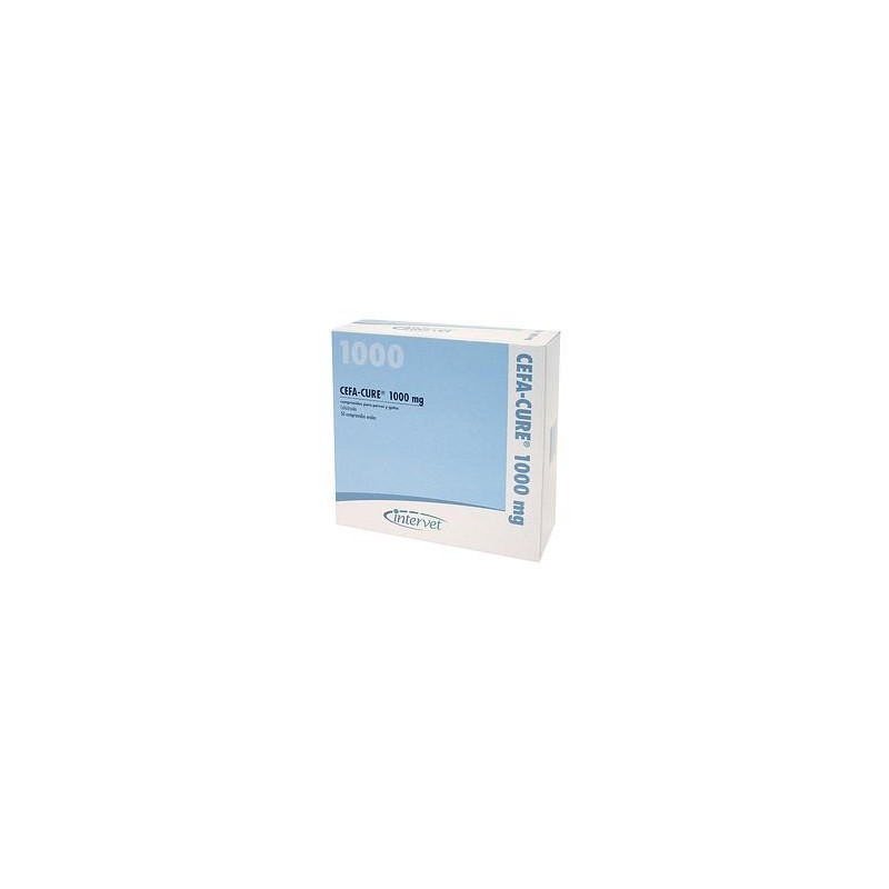 CEFA-CURE 1000 CLINICO