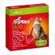 FIPREX GATO 1P