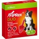 FIPREX PERRO M 1P