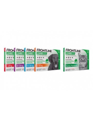 FRONTLINE SPOT-ON COMBO 6P 10-20KG