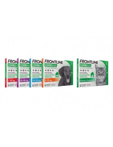 FRONTLINE SPOT-ON COMBO 6P 10-20KG