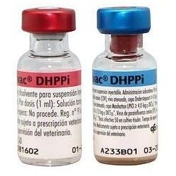 NOBIVAC DHPPI 25 Dosis