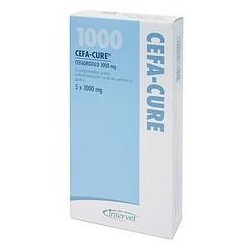 CEFA-CURE 1000 mg