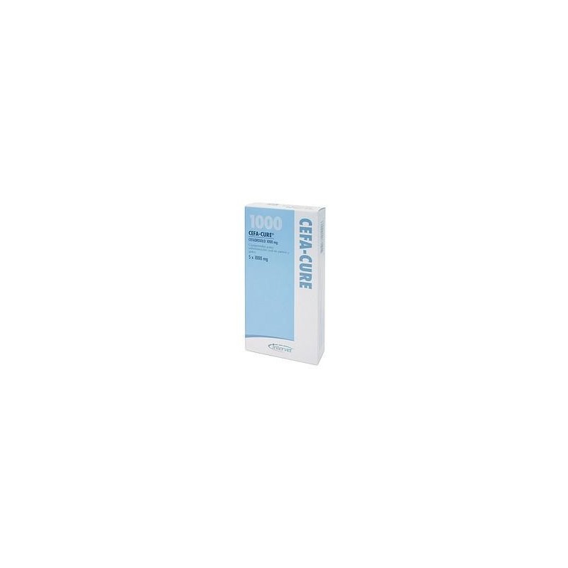 CEFA-CURE 1000 mg